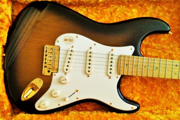 Fender Stratocaster a musicians best Friend
