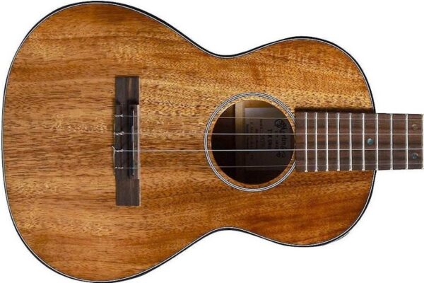 Ukulele Lessons London